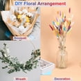 thumbnail image 4 of Uxcell 120pcs Colas de Conejo Naturales Flores Secas 17" Mini Hierba Pampas Lagurus Ovatus Ramo para Decoración Floral de Boda, Blanca, 4 of 6