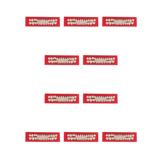 Soidarity 28 unids/set modelo de de resina dentaduras duraderas postizos universales Resi No.1 10piezas Soidarity CBP588905