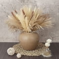 thumbnail image 4 of Nvzi -b 65 Pcs Pampas Grass,17"/43cm Natural Dried Pampas Grass Decor Tall,Boho Decor Pompous Grass,Fluffy Pampas Grass Plants for Flower Arrangements Home, Office, Wedding and Living Room, 4 of 4