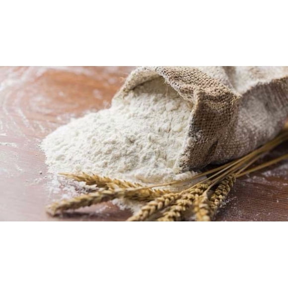 Organic Whole Wheat Flour Soft