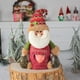 thumbnail image 5 of Billuyoard Bolsa de muñecos de Navidad, regalos transparentes, aperitivos, almacenamiento de frutas, alce, Noel, bolso de fieltro de Navidad, Kits de decoración para fiestas Papá Noel, 5 of 6