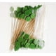 thumbnail image 1 of 100 unidades hechas a mano 4,7 palitos de cóctel, palillos de fruta para sándwich, selecciones de cóctel, suministros para fiestas, 1 of 1
