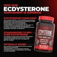 thumbnail image 2 of Huge Supplements Ecdysterone, Natural Anabolic Agent, Increases Lean Muscle Mass, Exercise Performance, Strength and Protein Synthesis, Formulated for Enhanced Absorption (60 Capsules), 2 of 5