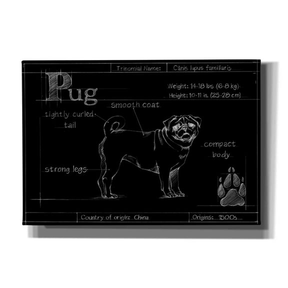 Epic Graffiti 'Blueprint Pug' by Ethan Harper, Canvas Wall Art, 26"x18"