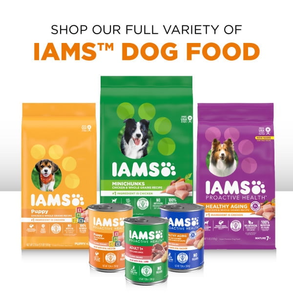 IAMS Proactive Health Wet Dog Food Variety Pack 13 oz Cans 12