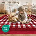 thumbnail image 4 of ODIKA 8'x10' Washable Area Rug Motif Farmhouse Gingham Border Frame Plaid Checkered Checked Playful Expressive for Living Room, Under Sectional, Family , Durable, Non-Slip, 4 of 7