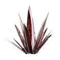 thumbnail image 1 of SGACAI Escultura rústica de tequila, planta de agave de metal, decoración de jardín, arte ¡CALIENTE!, 1 of 7