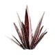 thumbnail image 5 of LUVCLS Escultura rústica de tequila, planta de agave de metal, decoración de jardín, arte ¡CALIENTE!, 5 of 7