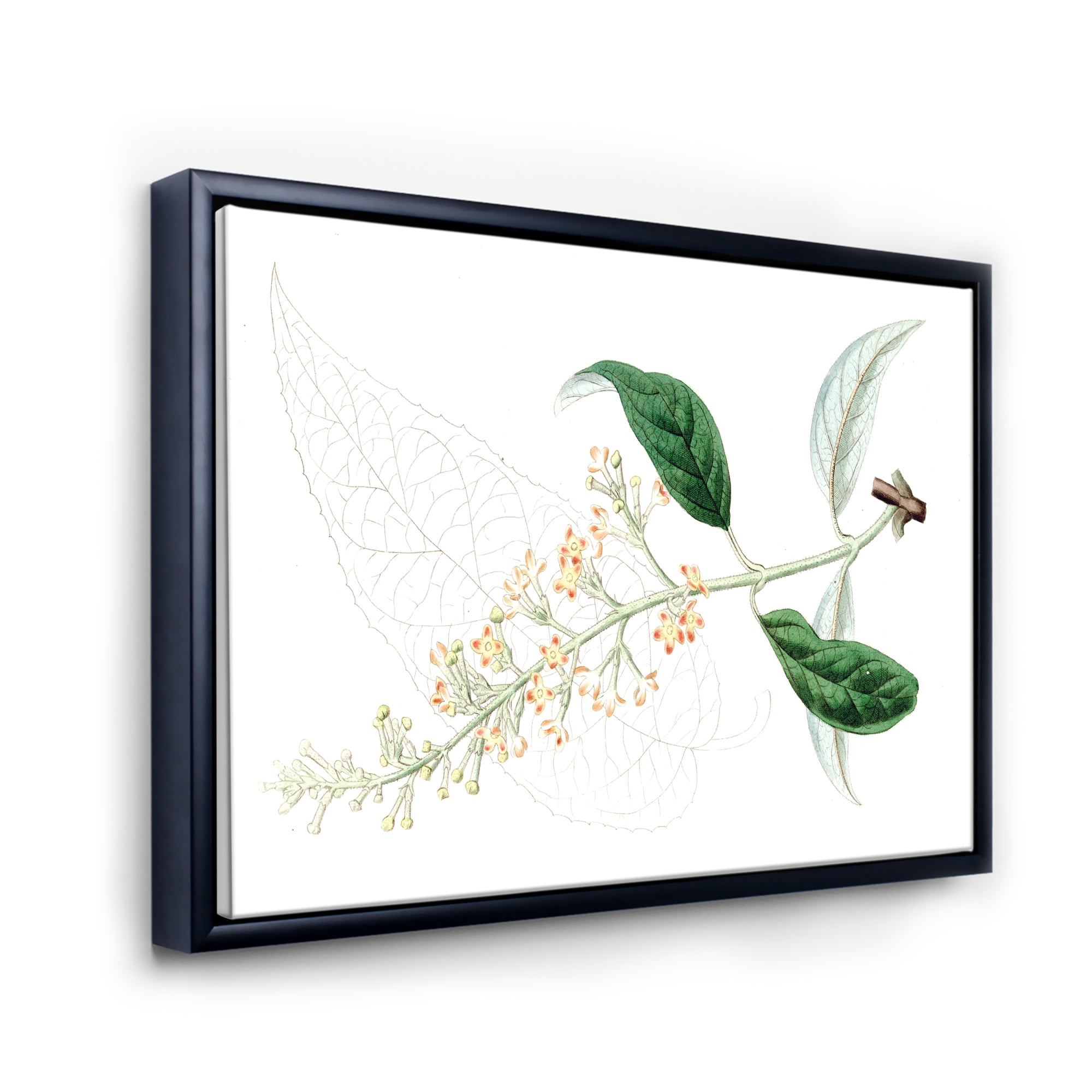 Designart 'Ancient Plant Life XXVII' Traditional Framed Canvas Wall Art Print