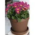 thumbnail image 3 of Bloem Terra Pot Planter - 12" - Living Green, 3 of 3