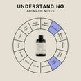 thumbnail image 7 of VINEVIDA Scent NO. 65, Signature Scent: Pumpkin Spice Fragrance Oil, 4 Fl Oz, 7 of 7