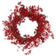 Northlight Couronne de Brindille de Noël Artificielle Red Berry - 20 Pouces, Non Éclairée – image 1 sur 4