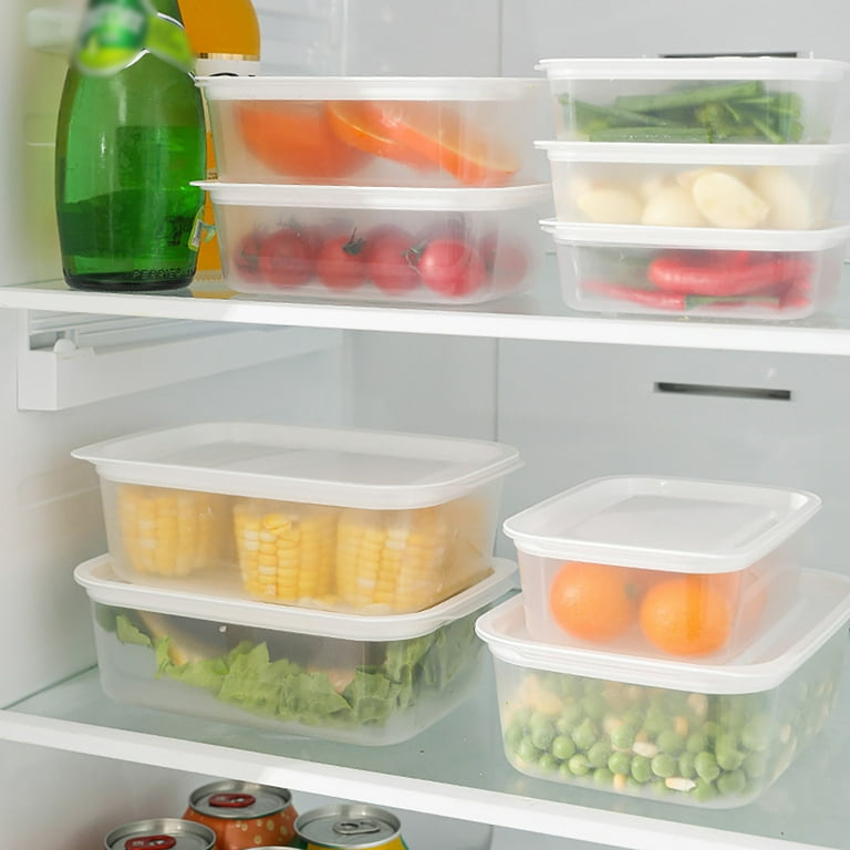 Plastic Refrigerator Storage Box, Mini Food Storage Containers