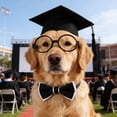 thumbnail image 6 of Pet Graduation Caps with 2026 Black Tassels, Dog and Cats Graduation Hats Adjustable Mini Graduation Caps for Graduation Photo Props Holiday Costume, 6 of 6