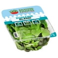 thumbnail image 2 of Backyard Farms Romaine Blend Pre-Washed Lettuce, 4 oz Resealable Package, Fresh, 2 of 4
