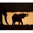 thumbnail image 2 of Kaveney, Wendy 30x26 Black Ornate Wood Framed with Double Matting Museum Art Print Titled - Namibia, Etosha NP Baby elephant at sunset, 2 of 4
