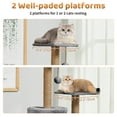 thumbnail image 6 of ZephyPaws 52in 5-Level Cat Tree Towers for Large Cat with Scratching Post,Condo,2 Perches,Gray, 6 of 8