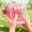 Pink-PK, variant on Mini Electronic Game Console Keychain 9 in 1 Handheld Puzzle Toy with Adjustable Volume
