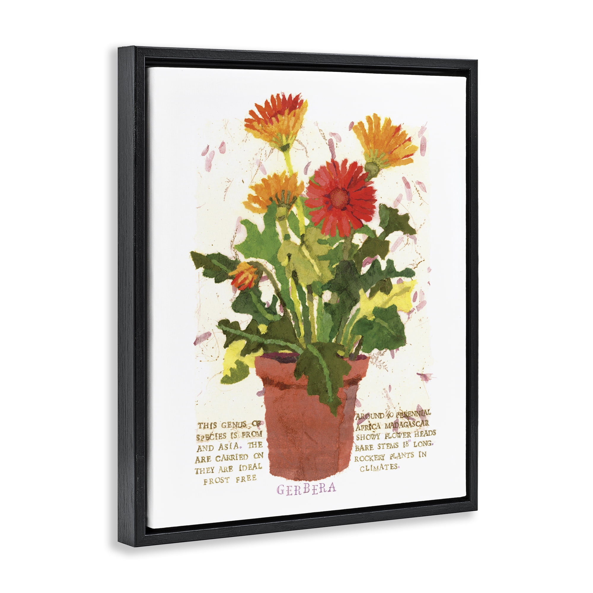 Stupell Industries Potted Gerbera Daisies Botanical & Floral Painting Black Floater Framed Art Print Wall Art, 17 x 21