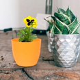 thumbnail image 4 of Round Garden Stylish Self-watering Planter Water Level Display Foolproof Easy to Use (Orange), 4 of 4