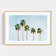 thumbnail image 2 of Palms, Palm Springs 01 - Palm Springs California Photography Unframed Wall Art Print 20 x 30 inches, 2 of 7