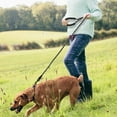 thumbnail image 6 of Reflective Nylon Dog Leash, EEEkit 5ft Dog Training Leash 360?Swivel No Tangle Dog Walking and Training Leash Comfortable Padded Handle with Trash Bag Dispenser for Large Dogs or Medium Dogs, 6 of 9
