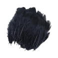 thumbnail image 1 of Injueey 100x Chicken Satinettes Loose Feathers Wedding Craft DIY for Kits de decoración para fiestas Negro 5-10cm, 1 of 6