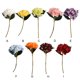 thumbnail image 4 of Injueey 5x Bajo mantenimiento Durable - Juego de plantas artificiales de larga duración para amantes de los entornos que admiten mascotas Type3 NO3, 4 of 6