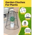 thumbnail image 3 of GYZJ 13” x 15.75” Metal Black Chicken Wire Plant Cloche with Rust Resistant Protection (12 Count), 3 of 6