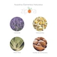 thumbnail image 4 of SET 2 PZ CUIDADO PERSONAL ZIPORA 1 CREMA HUMECTANTE 500ML/1 GEL DE BAÑO 250ML N0620 ZIPORA N0620, 4 of 4