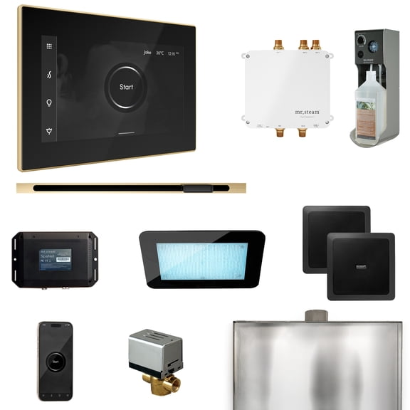 Mr Steam Bliss Steam Shower Ctrl Pkg w/iSteamX Control and Linear Steamhead in Black Polished Brass
