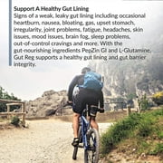 BioTrust Gut Reg Supports a Healthy Gut Lining, Helps Restore Gut Health and Helps Relieve Occasional GI Discomfort with PepZin GI, L-Glutamine and Ginger Extract, Non-GMO, Gluten-Free (60 Capsules)