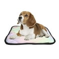 thumbnail image 2 of PKQWTM holo Pearlescent element pastel hues Pet Dog Cat Bed Pee Pads Mat Cushion Potty Dogs Blankets Crate Bed Kennel 36x48 inch, 2 of 3