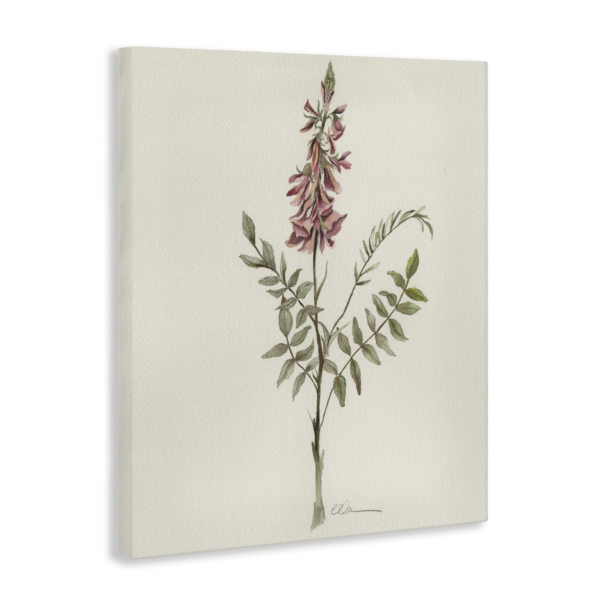 Stupell Industries Nature's Delicate Herb Sprig Canvas Wall Art, design by Cady Driver