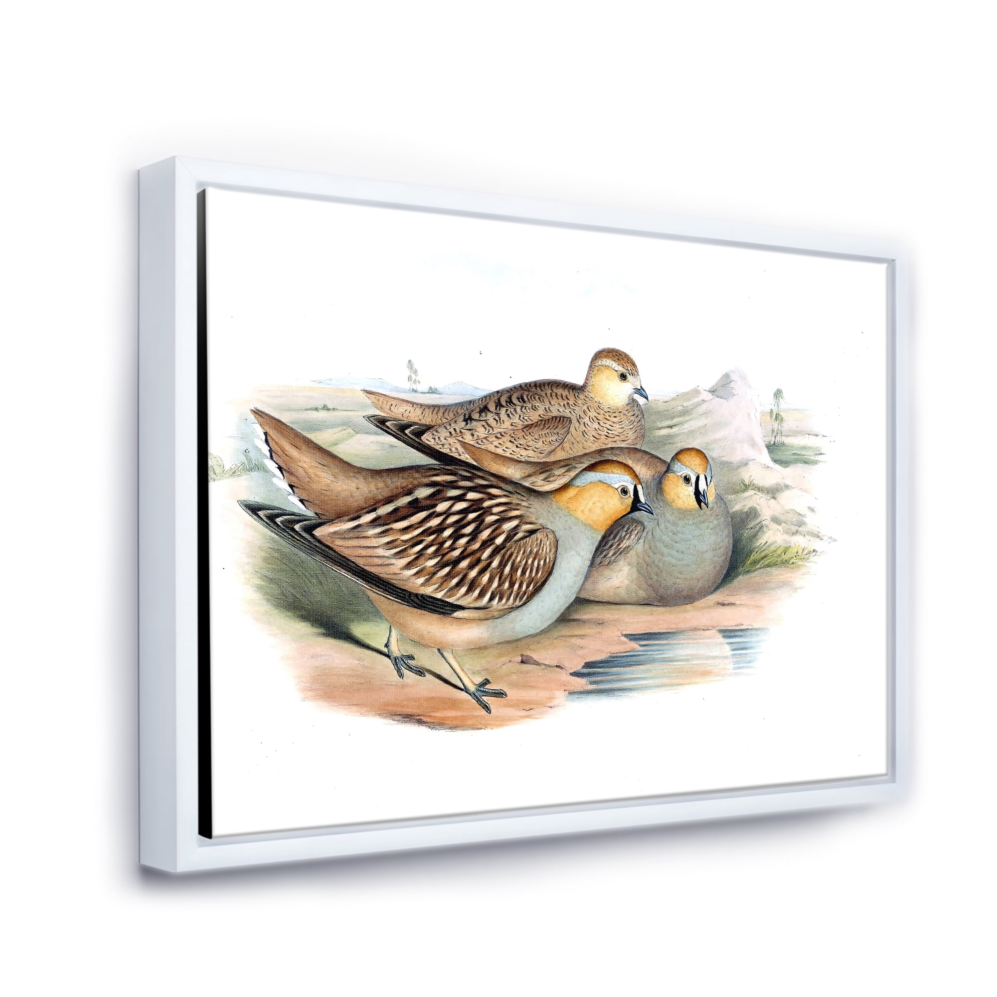 Designart 'Ancient Birds In The Wild III' Traditional Framed Canvas Wall Art Print