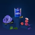 thumbnail image 4 of Friday Collective Small Tumbler Candle, 4 of 11