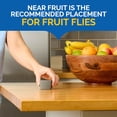 thumbnail image 4 of 2026 Best 6 Pack Liquid Flying Insect Traps, 984ml Per Bottle No-Electric Discreet Fly Catcher, 24/7 Continuous Lure to Catch Fruit Flies & House Flies for Indoor Kitchen, 4 of 10