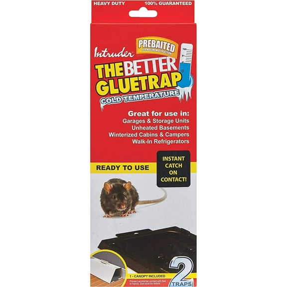 INTRUDER 17515 The Better GlueTrap-Cold Temperature Glue Trap, Large, Black