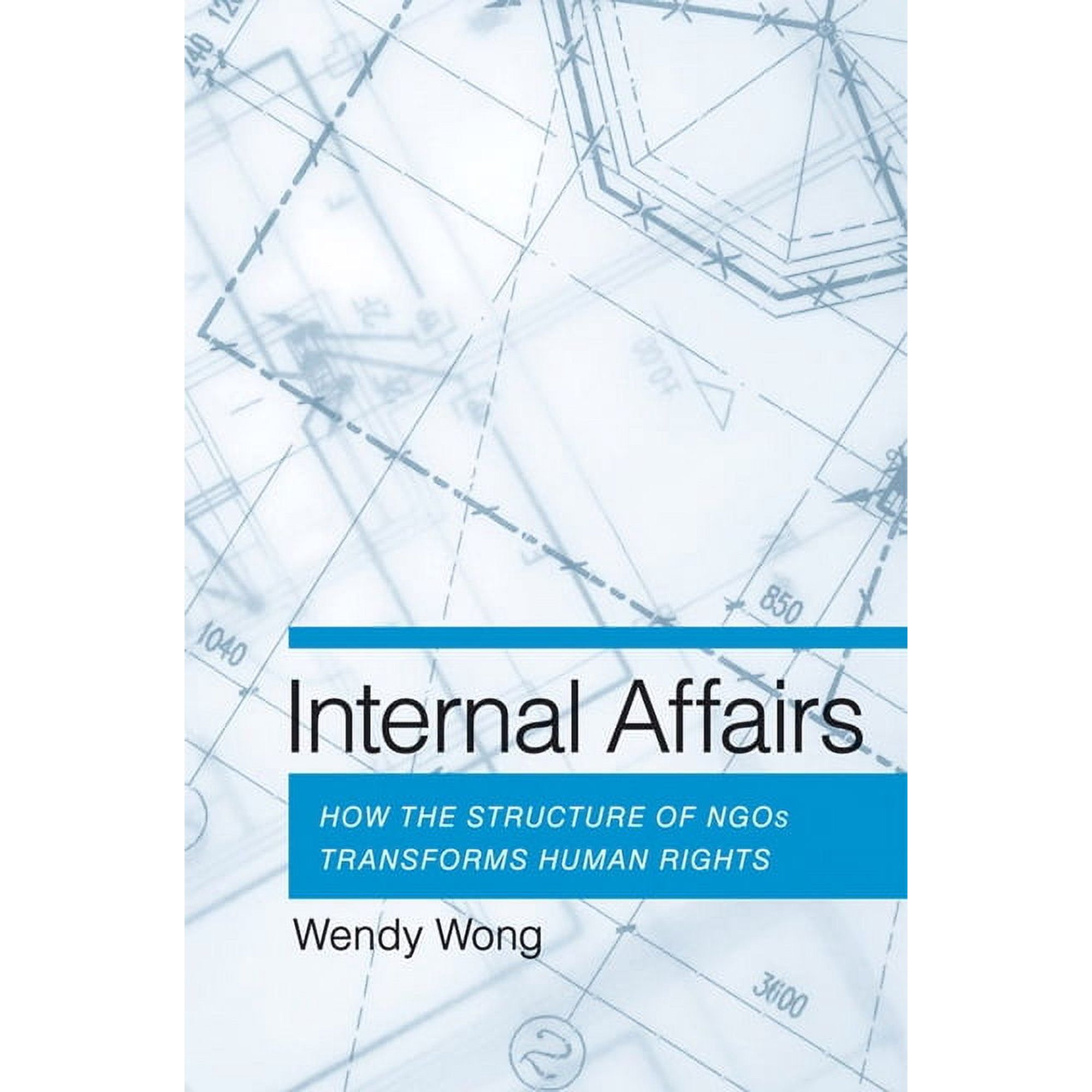 Internal Affairs (Hardcover)