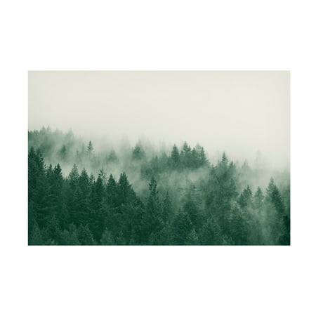 Canvas Wall Art - Lynann Colligan 'Emerald Forest No. 1' Wall Art for Living Room, Bedroom, or Office D&eacute;cor by Trademark Fine Art - 47 x 30 Inches
