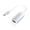 Silver, variant on Type-C HDMI Adapter 4K 60Hz