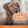 thumbnail image 3 of Entrenador para perros SportDOG SportTrainer impermeable, alcance de 460 m, 3 of 8