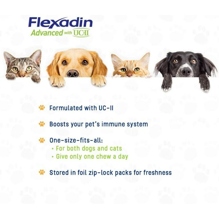Praten Haalbaar Alaska Vetoquinol Flexadin Advanced with UCII Soft Chews Joint Supplement for Dogs  & Cats, 30-count bag - Walmart.com