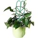 thumbnail image 3 of 6 uds Mini plantas de interior, macetas para plantas de interior, enrejado trepador para Patio, jaula para plantas en maceta, macetas con tallo, enrejado, soporte para plantas, 3 of 5