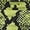 Green-Snake, variant on INSPIRE CHIC Women's Halter Neck Slim Fit Casual Party Ruched Waist Printed Tank Tops XS Yellow-Floral