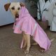 thumbnail image 5 of Chubasquero para perro con capucha, arnés con agujero, impermeable, chubasquero para perro, 5 of 5