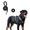 Purple, variant on Levviye Dog Harness & Leash Set Reflective Adjustable Pet Vest with Foam Handle Durable Rope for Dogs Walking Training, Khaki L