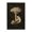 Vintage Mushroom Study_v2, variant on Stupell Industries Mid-Century Canvas Art, 16 x 24, by Tina Higgins Designs Inc.