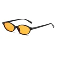 thumbnail image 5 of Gafas de sol ovaladas pequeñas y sexis para mujer, lentes de sol de leopardo marrón a la moda, gafas de sol Retro coloridas para mujer 2024, 5 of 5