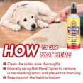 thumbnail image 3 of ¡El spray corrector de entrenamiento Bodhi Dog no está aquí! 240 ml, 3 of 6